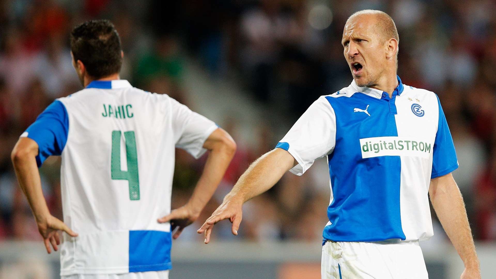 可能会引导 可能会引导