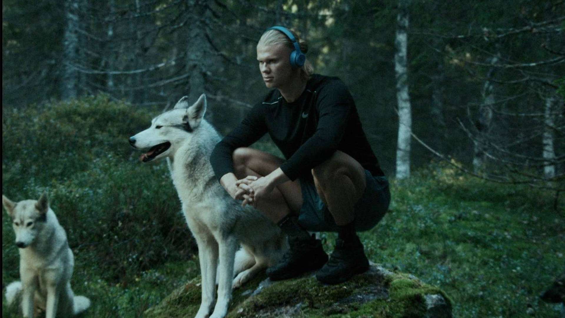 安在重返巅 安在重返巅